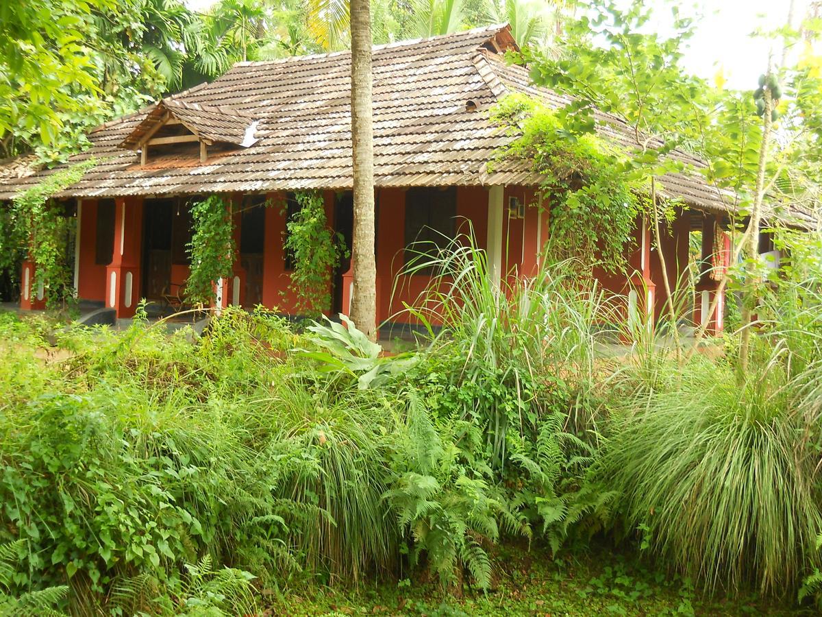 Big Banana Island Retreat Hotell North Paravur Eksteriør bilde