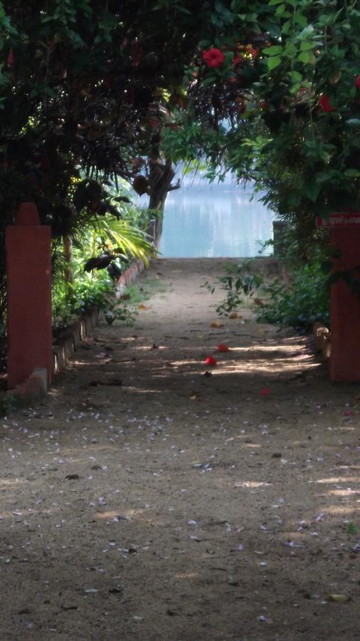 Big Banana Island Retreat Hotell North Paravur Eksteriør bilde